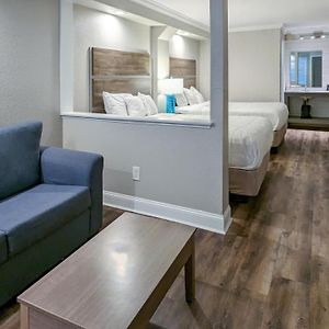 Island Palm Double Two Queen Beds